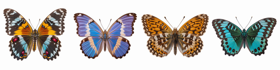 Obraz premium Colorful butterflies on white isolated on transparent background