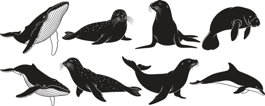 Silhouette of various marine mammals including seals and sea lions in different poses