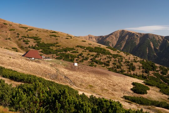 View of golden slopes dotted with green shrubs leading to a cozy mountain hut under a clear blue sky, Nizke Tatry, Banskobystricky kraj, Slovakia.