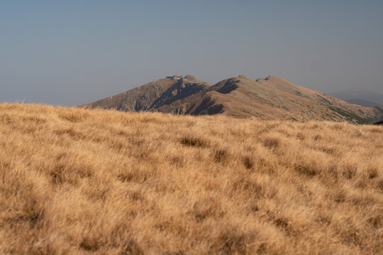 View of sun-kissed golden grasses dance in the foreground, leading to rugged mountains under a clear sky, creating a serene landscape, Nizke Tatry, Banskobystricky kraj, Slovakia.