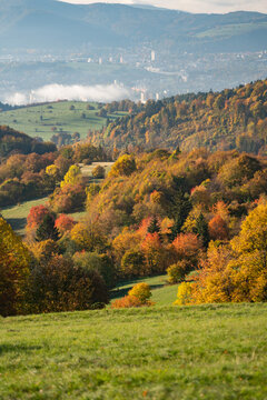 View of autumn's vibrant tapestry drapes across rolling hills, a symphony of gold and russet leading to a distant city skyline shrouded in mist, Selce, Slovakia.
