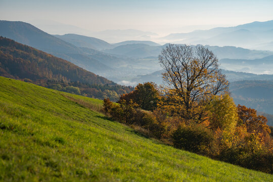 View of an idyllic hillside with lush green grass contrasting against the autumn trees, mountains fading into mist, Selce, Banska Bystrica Region, Slovakia.