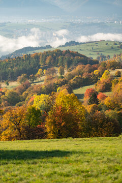 View of vivid autumn colors paint the rolling hills, a tapestry of gold and crimson, under a soft, hazy sky, Selce, Banska Bystrica Region, Slovakia.