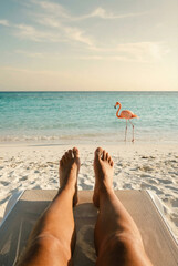 Tropical Beach Vacation