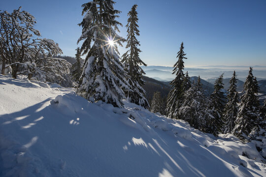 View of the sun's rays bursting through the spiky pine trees, casting long shadows over the snow-covered Kozi chrbat peaks, Nizke Tatry, Banska Bystrica Region, Slovakia.