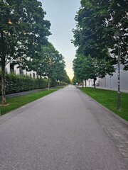road in the park