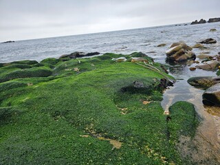 coast of the atlantic ocean