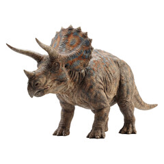 Fototapeta premium A majestic Triceratops dinosaur stands tall, showcasing its iconic horns and frill