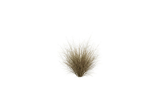 Dry desert grass bush brown and tan png on transparent background