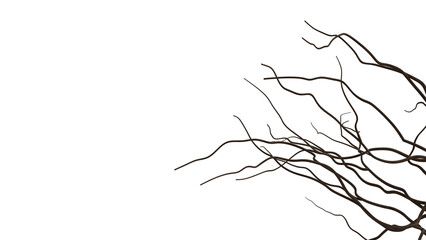 Obraz premium Bare Tree Branches on Transparent Background