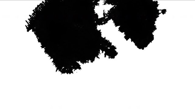 High Contrast Black Ink Spreading on White Canvas