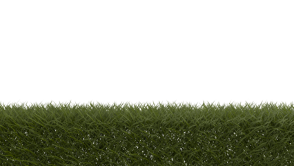 Transparent Grass Border