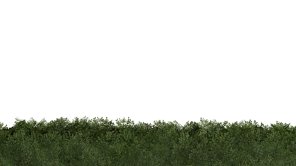 Seamless Grass Border on Transparent Background