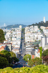hilly skyline of San Francisco with coit tower, USA