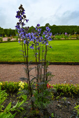 Picturesque landscape with beautiful green lawn on sunny day. Gardening idea