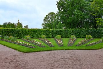 Wooden fence and flowers in the garden. Garden flower part