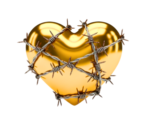 A golden heart tightly wrapped with rusty barbed wire against a solid black background isolated on transparent background