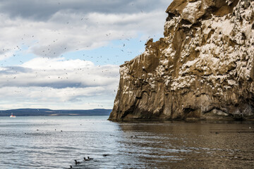 View of the rugged, towering cliffs of Drangey Island meet the moody Atlantic, a haven for countless puffins under a vast, clouded sky, Saudarkrokur, Drangey Island, Iceland.