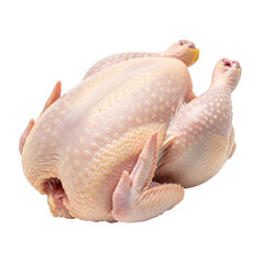 Fresh whole chicken ready for cooking