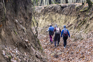 Wanderer im Laubstreu im Herbst