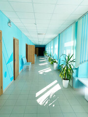 Bright corridor interior in educational institution featuring blue walls, natural light streaming through windows, and decorative plants creating a welcoming atmosphere for students and staff