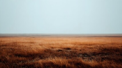 Vast, dry grassland stretching to the horizon under a pale blue sky with warm, earthy tones.