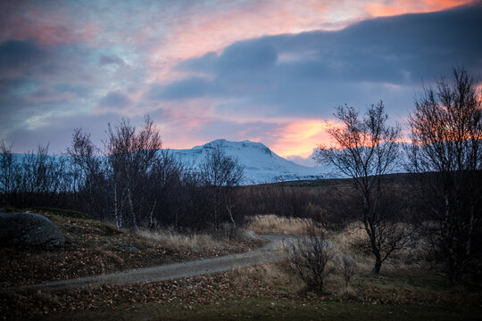 View of a winding path leading towards snow-capped mountains under a sky ablaze with pink and orange hues, Seydisfjordur, East Fjords, Iceland.