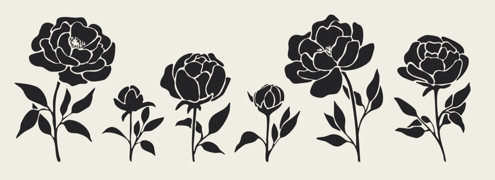 Black peony silhouettes set, hand drawn floral elements collection, botanical flower stencils for logo and wedding design