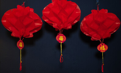 Chineses new  year  celebrations  year  of the  horses  waving  cat 