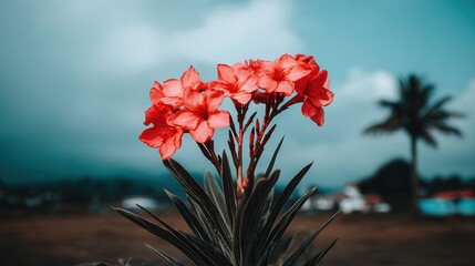 Vibrant tropical flowers cloudy sky