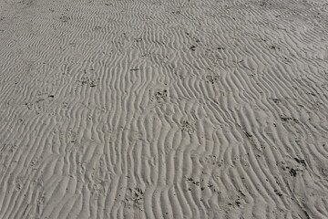 Fototapeta premium An abstract nature pattern of ripples on a brown sandy beach captures the natural texture of desert dunes and coastal ocean waves during a summer travel to the sea shore