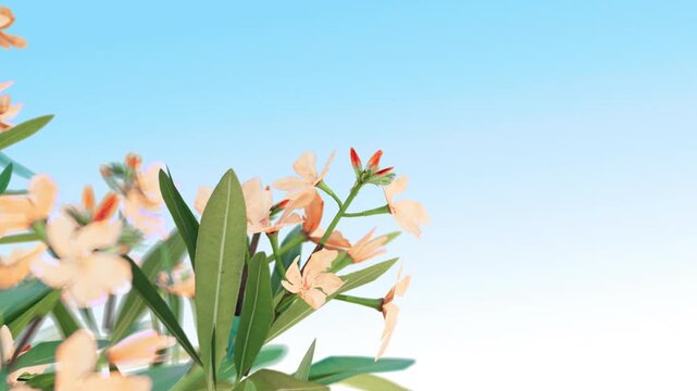 Animation of leafy plant with soft yellow flowers rotating gently under clear blue sky, spring and Easter nature theme