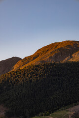 Mountain landscape at sunset with golden light illuminating the top of the hills and a dark forest below for nature and travel