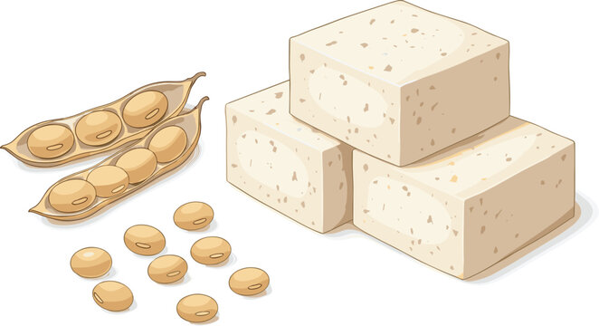 Fresh soy tofu blocks with organic soybeans in pods and loose beans for vegan and vegetarian protein concepts