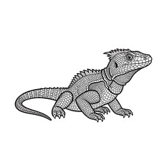 Obraz premium Lizard with Monochrome art.