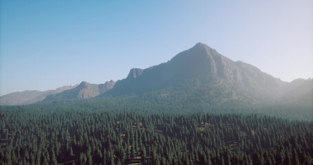Obraz premium A towering mountain looms above an expansive forest of vibrant green trees. The bright blue sky adds to the stunning natural beauty of this enchanted landscape.