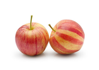 Two ripe fresh red yellow striped apples isolated on white background. Colorful glossy fruits as design element.	