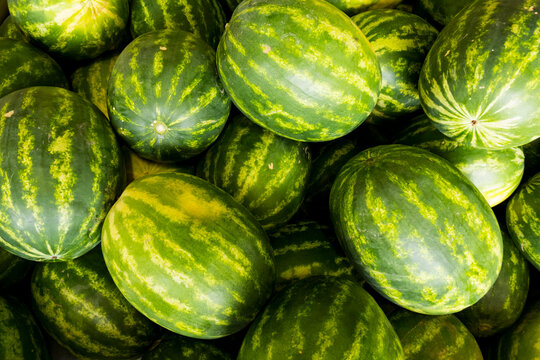 A crate of green and yellow water melons, Citrullus lanatus.