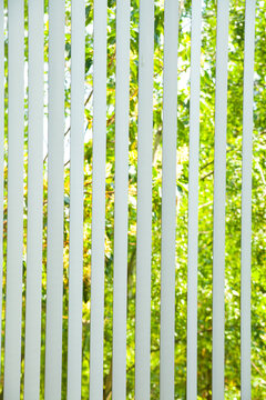 Vertical window blinds half closed, with sunlit foliage of tree branches with leaves showing through.