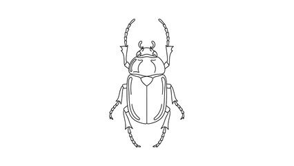 Detailed illustration of a beetle with large antennae