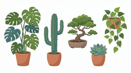 Fototapeta premium Set of various indoor potted plants and trendy houseplants