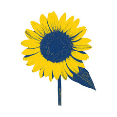 Naklejka premium PNG Vibrant sunflower illustration design