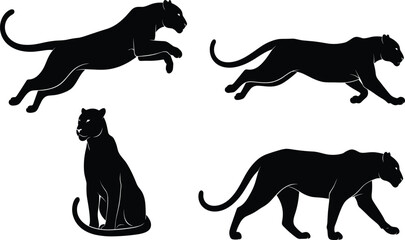 Black silhouette set of a panther or leopard in different poses including jumping walking and sitting isolated on a white background for design © MostArjuma