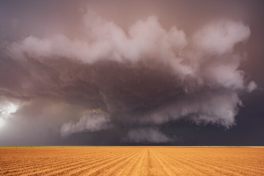 Tornado-Producing Supercell, clouds gathering above a cornfield, dark shapes on the horizon.