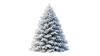 Fototapeta premium Snowy coniferous tree