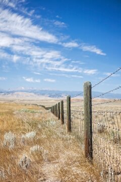 Barbed wire fence stretching across open prairie grassland near Buffalo, Wyoming, with distant mountains and a bright blue sky.