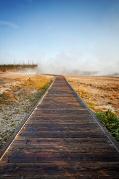 Wooden boardwalk leads into steam rising from geothermal hot springs in Yellowstone's West Thumb Geyser Basin, Wyoming.
