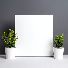Two vibrant potted plants, one with lush green leaves and the other featuring colorful blooms, are positioned beside a large, blank whiteboard.