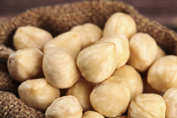 Fototapeta premium Roasted Hazelnuts in Burlap Sack - Healthy Natural Snacks