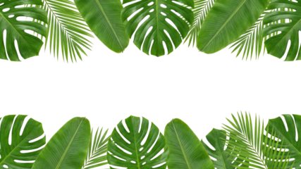 Tropical Leaves Border Frame - Exotic Jungle Foliage Design